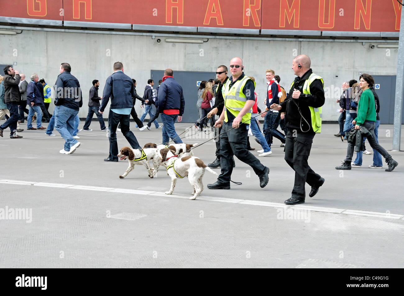 Sniffer dogs with handlers at the Emirates Stadium, Arsenal Football Club Stock Photo