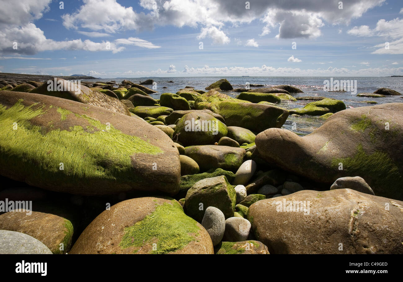 Photograph of the Ireland's coastline at low tide Stock Photo
