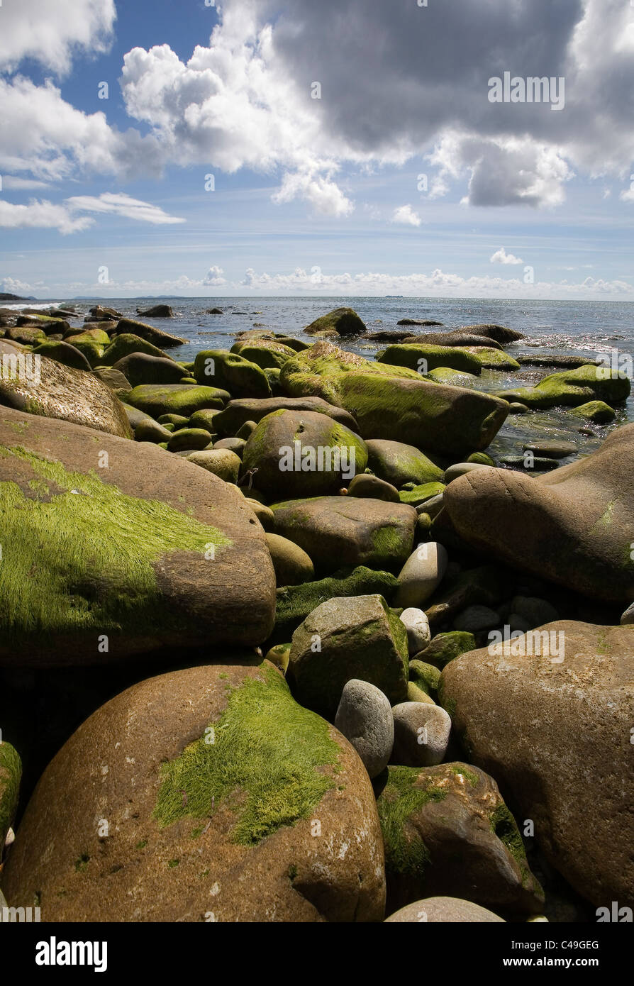 Photograph of the Ireland's coastline at low tide Stock Photo