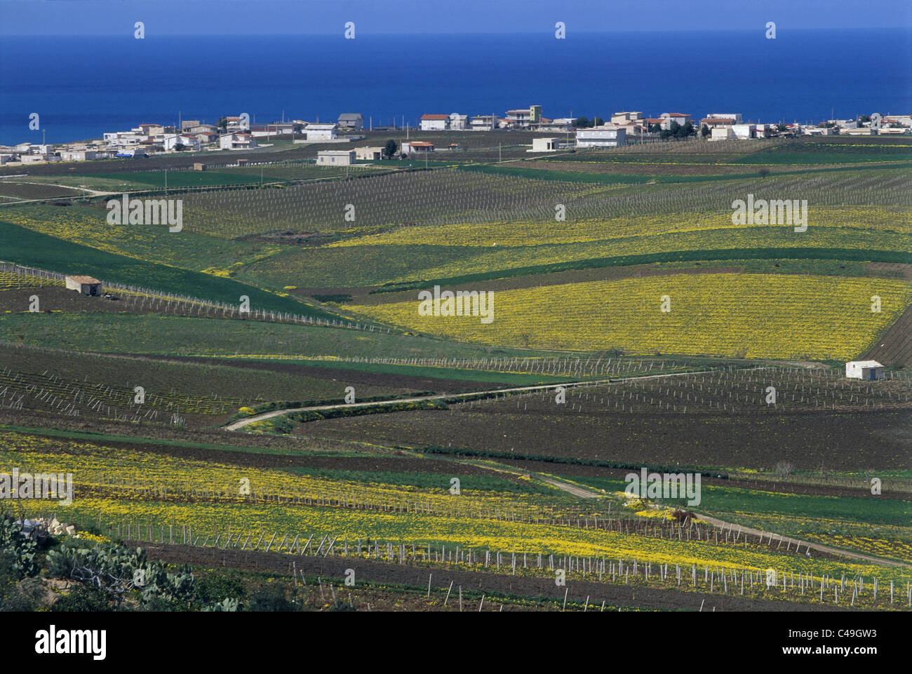 Photograph of the agriculture fields of Sicily Italy Stock Photo Alamy