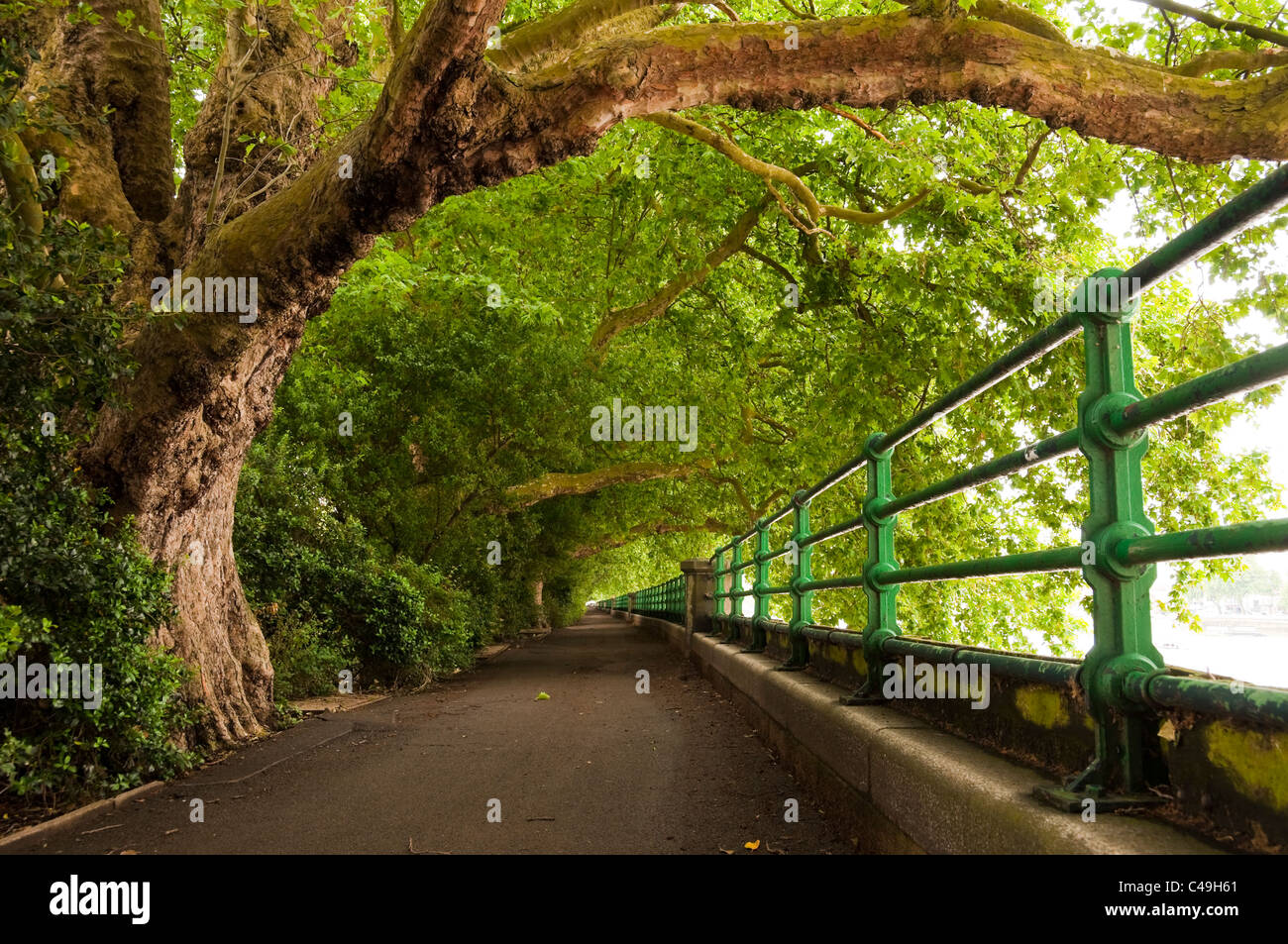 An alley along the river Thames, Fulham, London Stock Photo