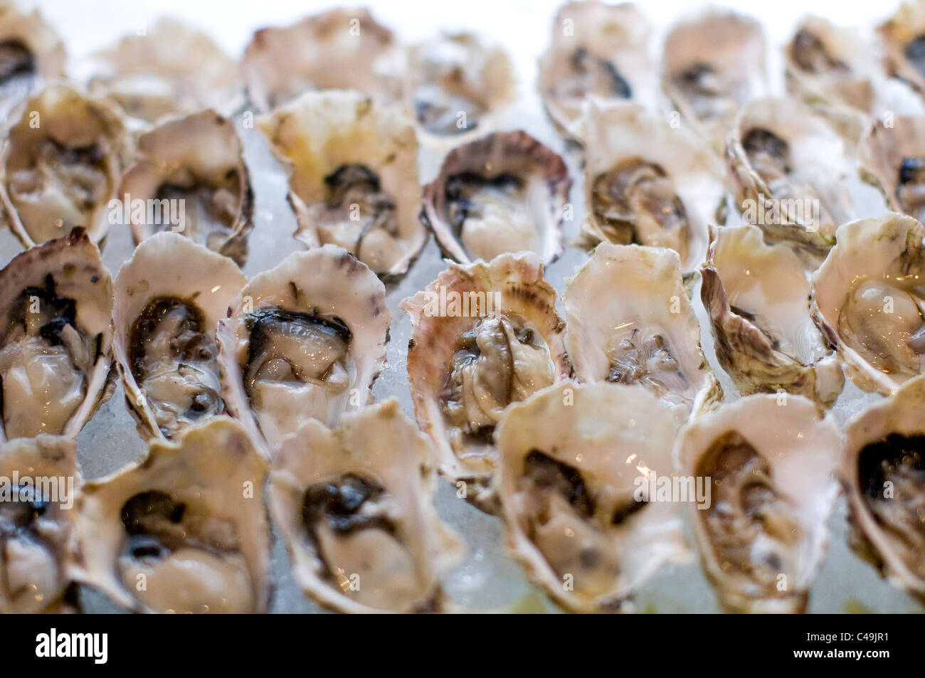 A raw oyster bar. Stock Photo