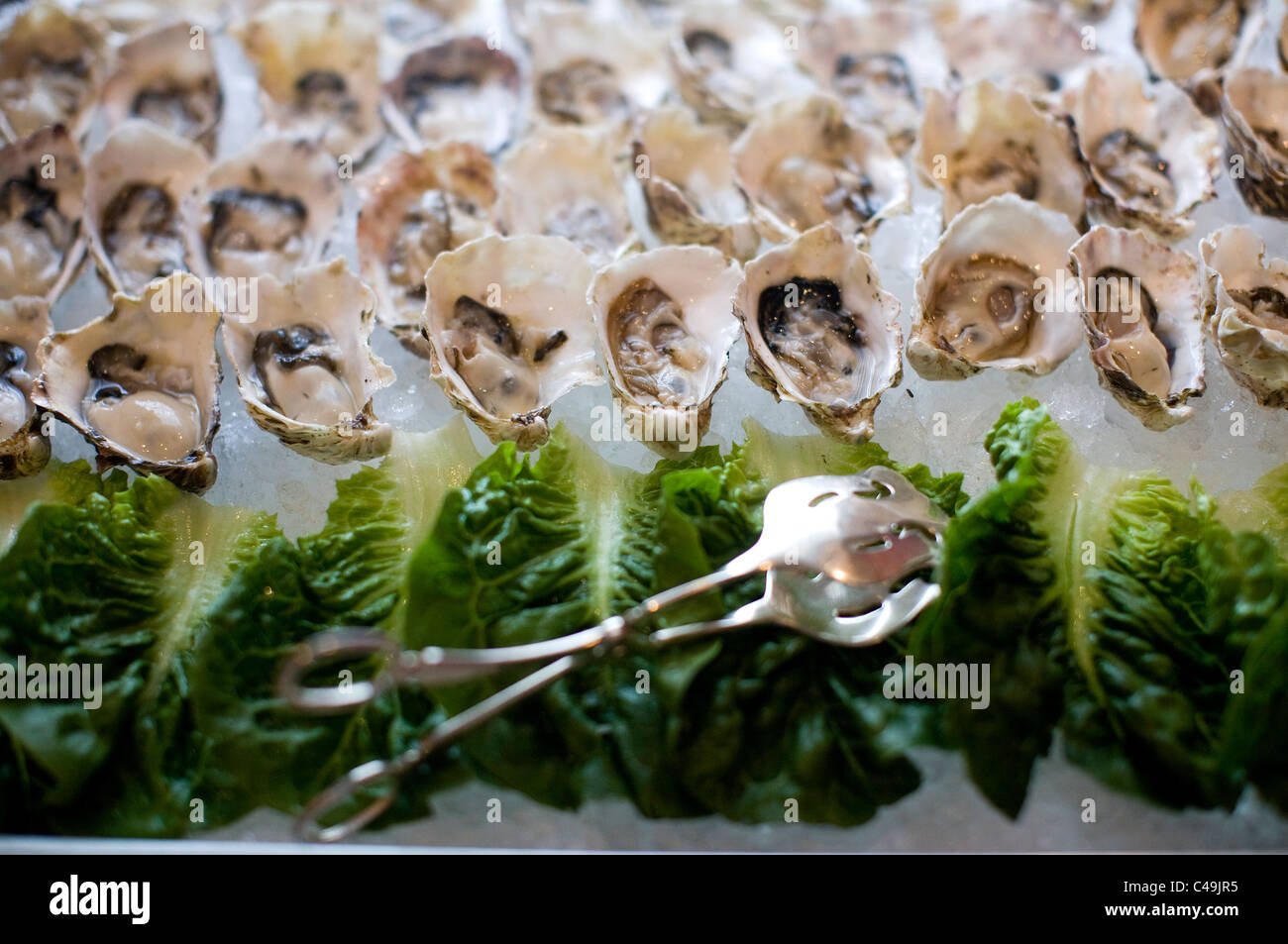 A raw oyster bar Stock Photo Alamy