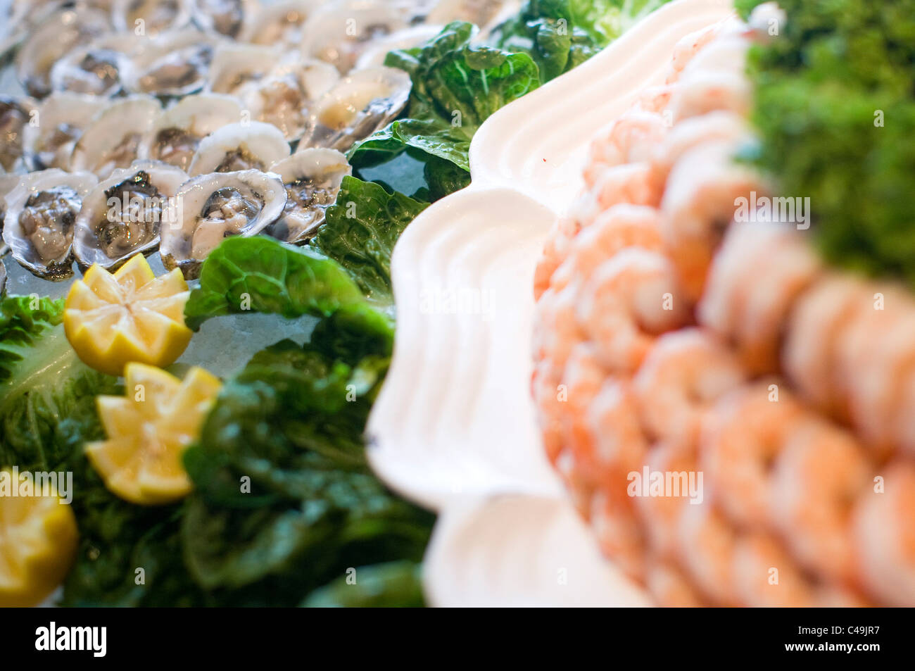 A shrimp platter and raw oyster display. Stock Photo