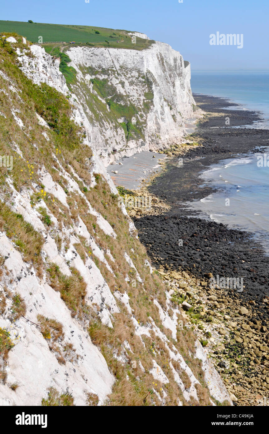 White Cliffs of Dover part of the North Downs facing the English Channel at low tide Kent England UK Stock Photo