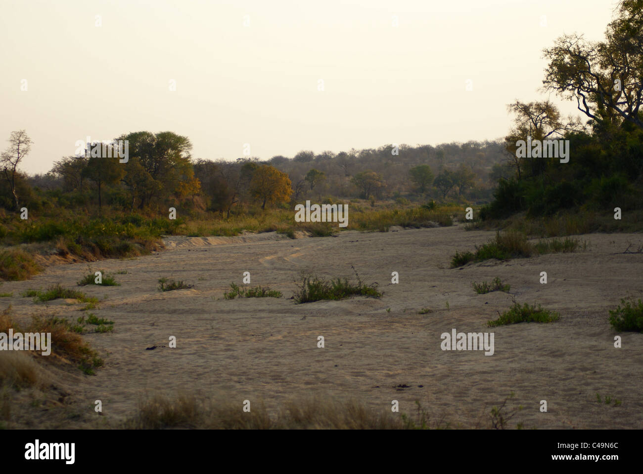 Dry River Bed in Kruger National Park, South Africa Stock Photo Alamy