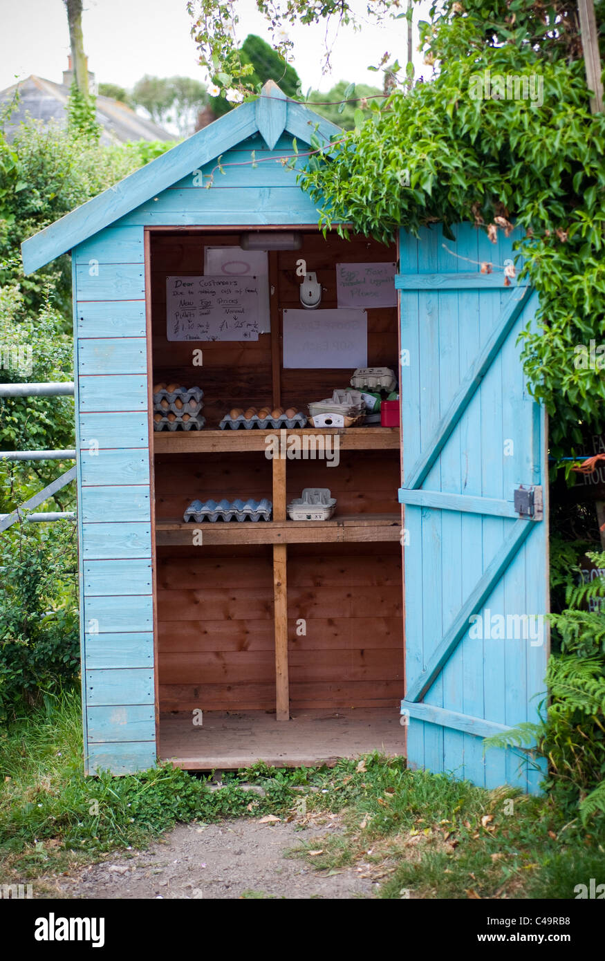 Small Rural Business In Garden Shed Selling Eggs Start A Cottage