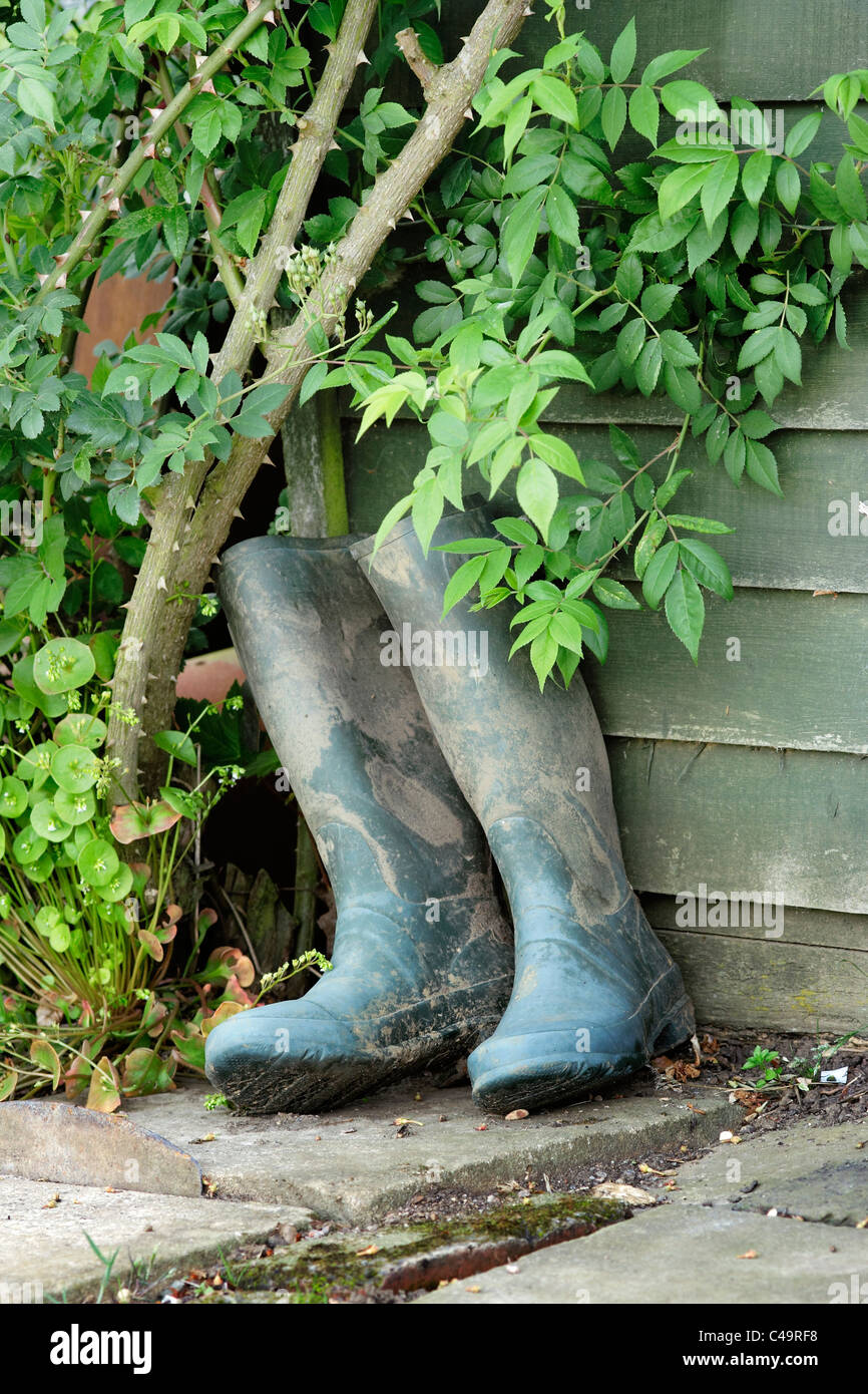 ''green wellies'' wellies hires stock photography and images Alamy