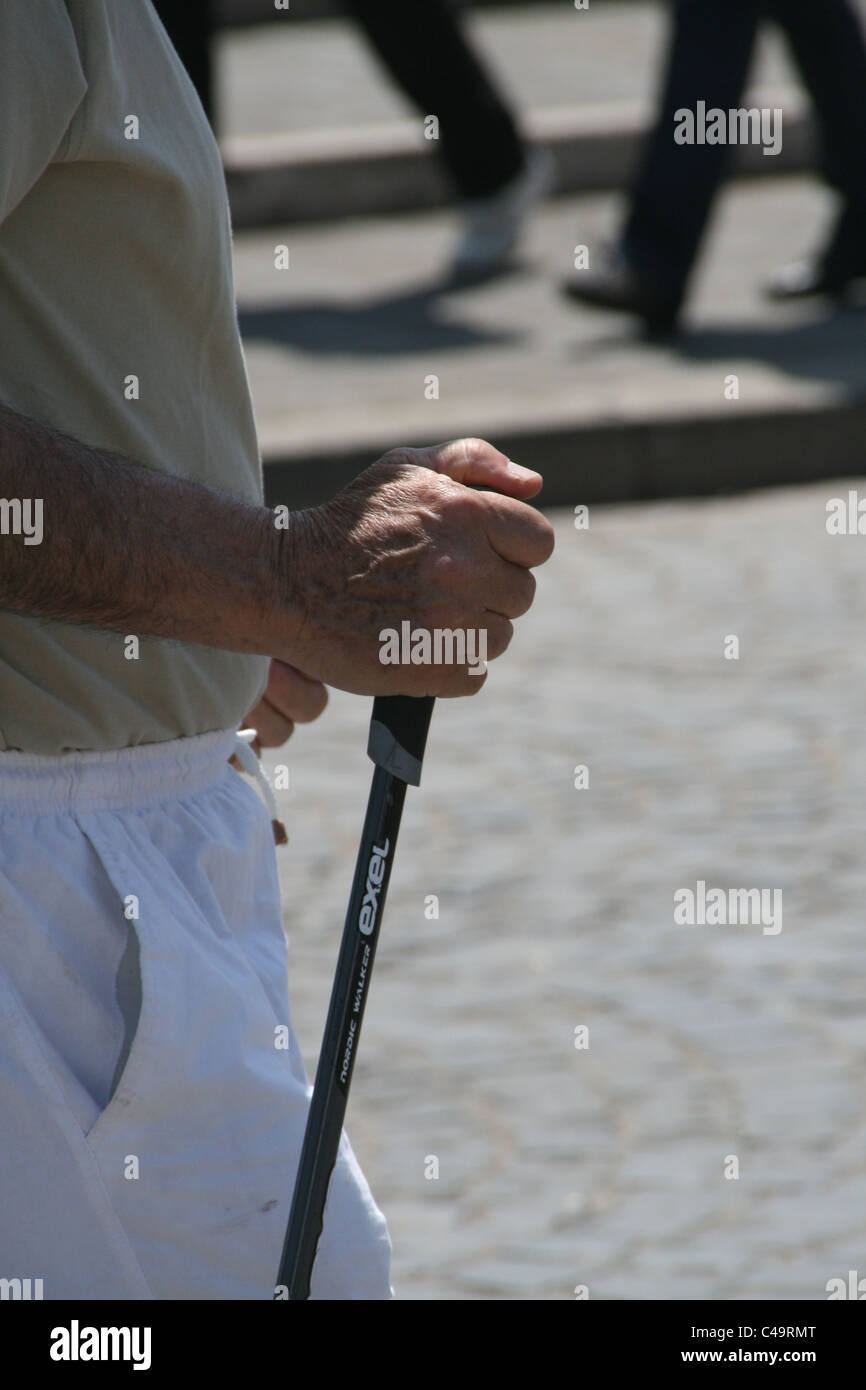 power walking sticks