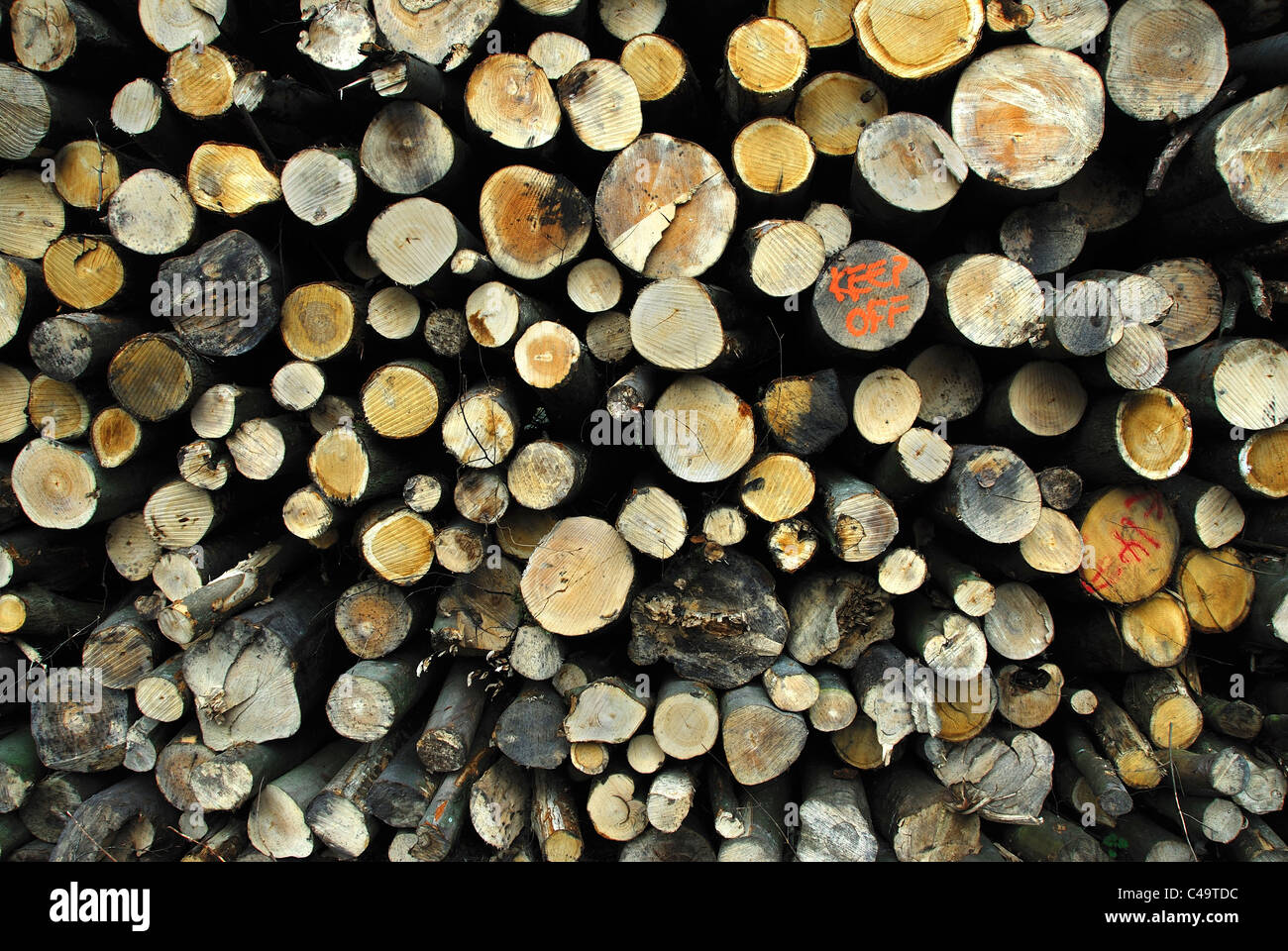 A stack of logs, a log pile UK Stock Photo