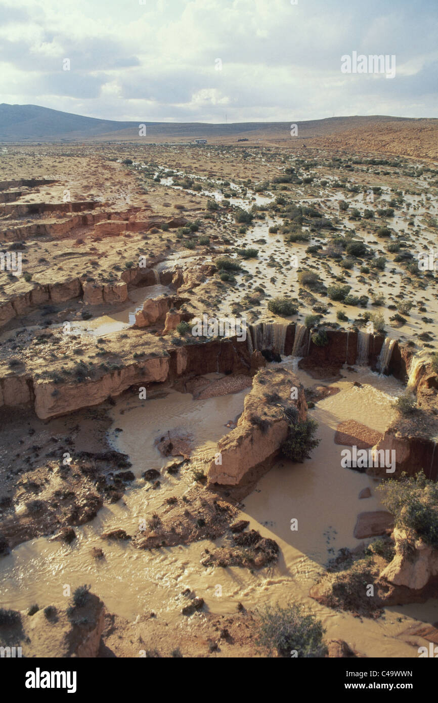 Aerial photograph of Upper Wadi Zin during a flood in the Negev desert Stock Photo