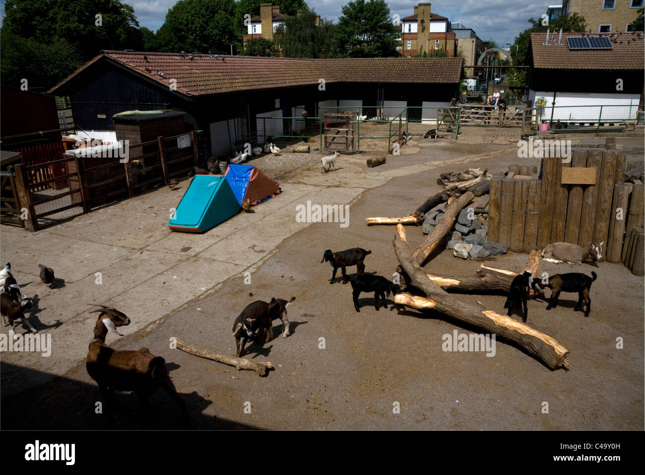 surrey docks farm rotherhithe southwark london england Stock Photo