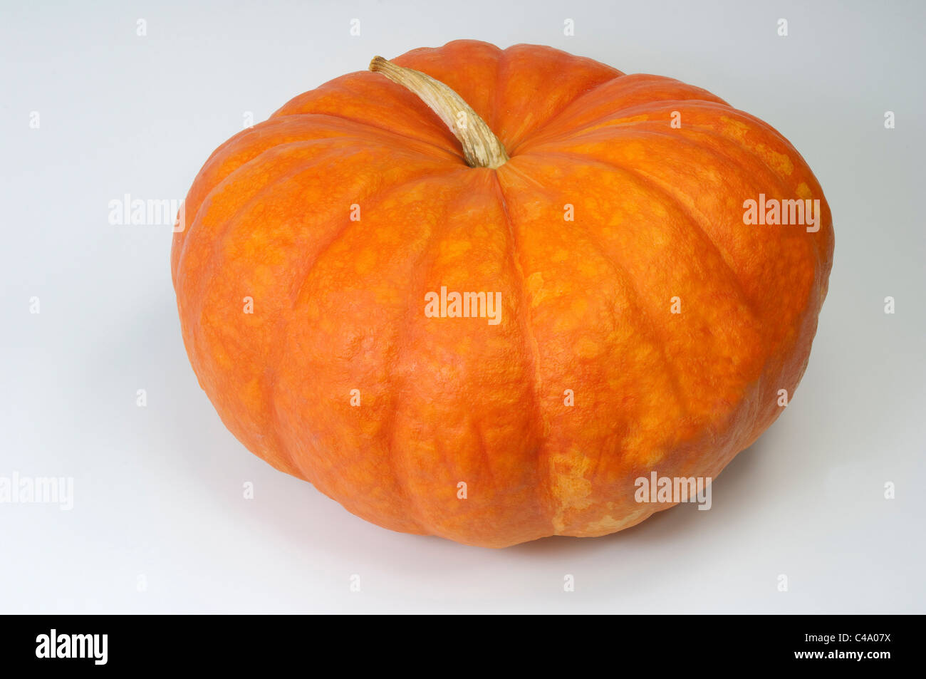 Cinderella Pumpkin, Rouge vif d´Etamples (Cucurbita maxima), fruit. Studio picture against a white background. Stock Photo