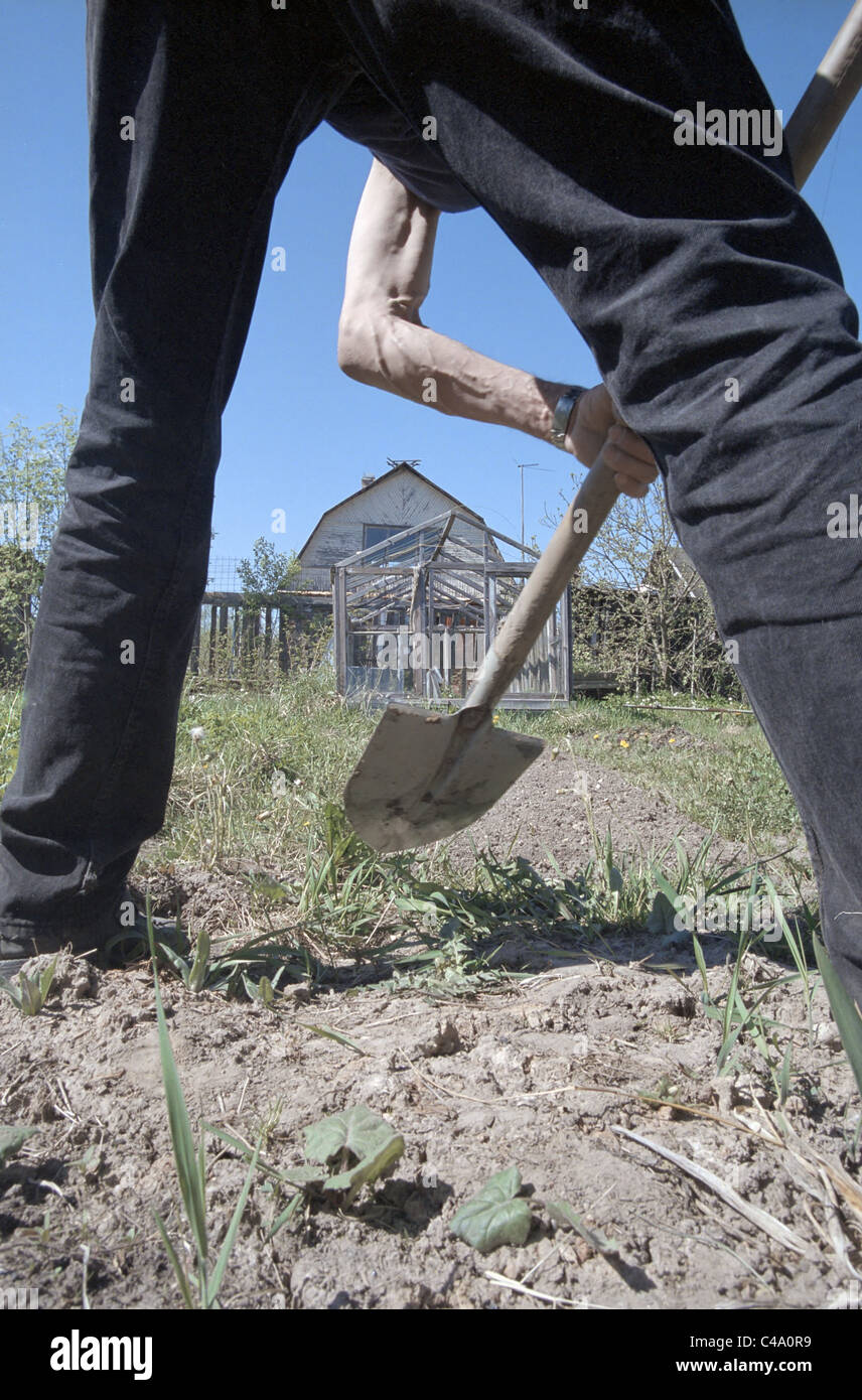 Opening of a summer season. The man with a shovel digs up beds Stock ...