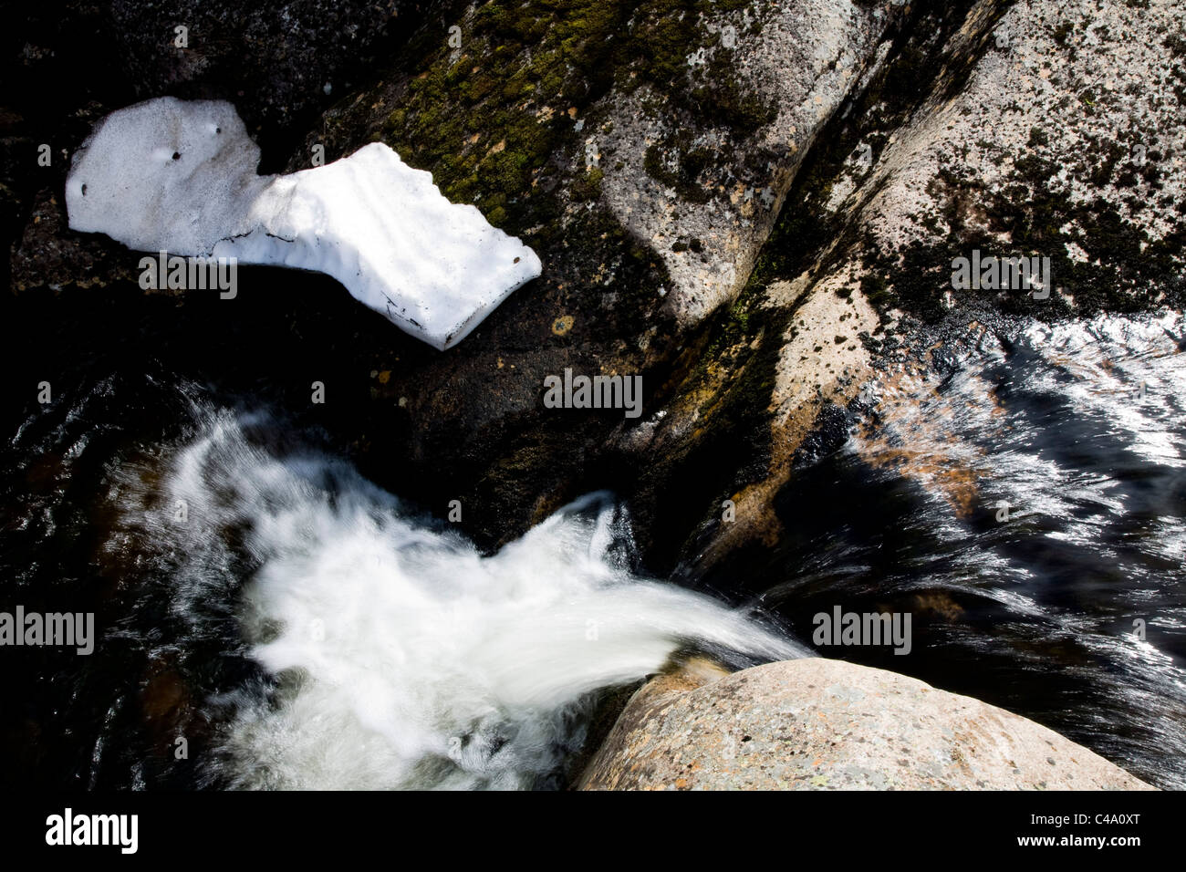 Closeup on a stream on the mountains of the Lofoten islands Stock Photo