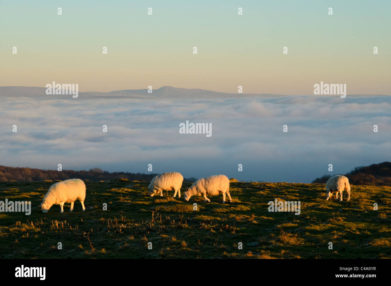 Grange over sands hires stock photography and images Alamy