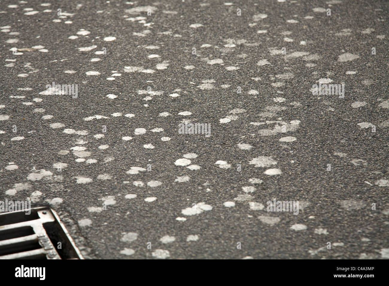 Chewing gum pavement litter hi-res stock photography and images - Alamy