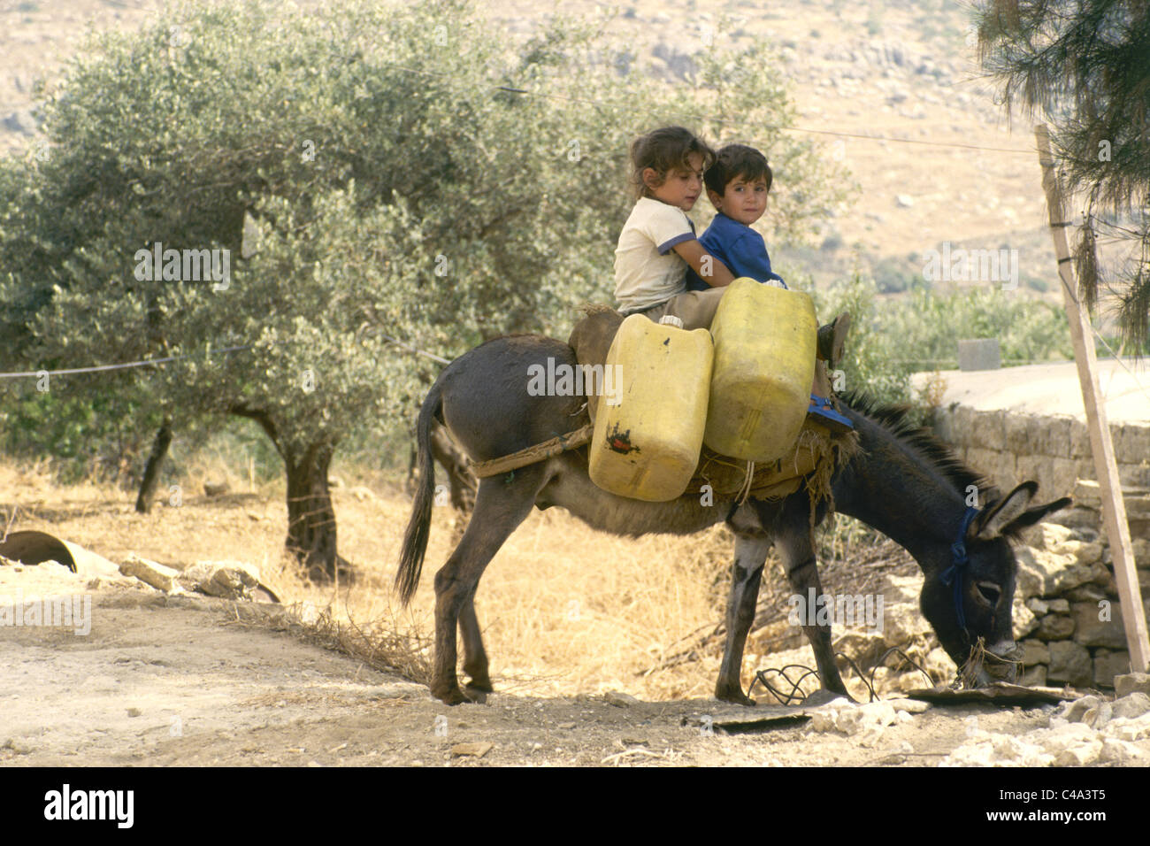 Photograph of two young boys riding on a donkey in an live plantation in Samaria Stock Photo