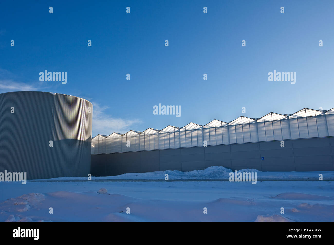 Greenhouse seen from the outside. Snow, winter, Rogaland, Norway Stock Photo
