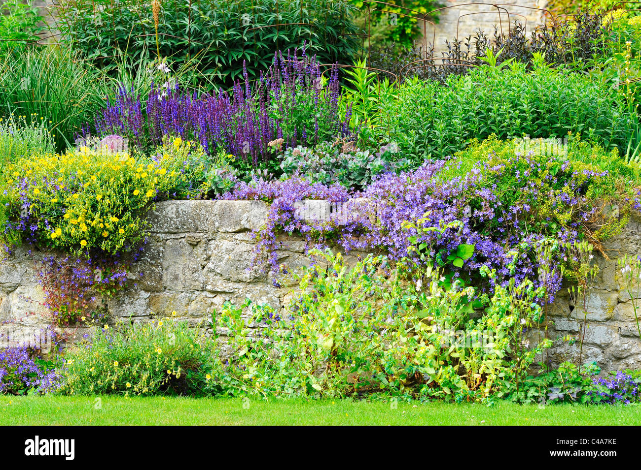 Various plants in garden hi-res stock photography and images - Alamy