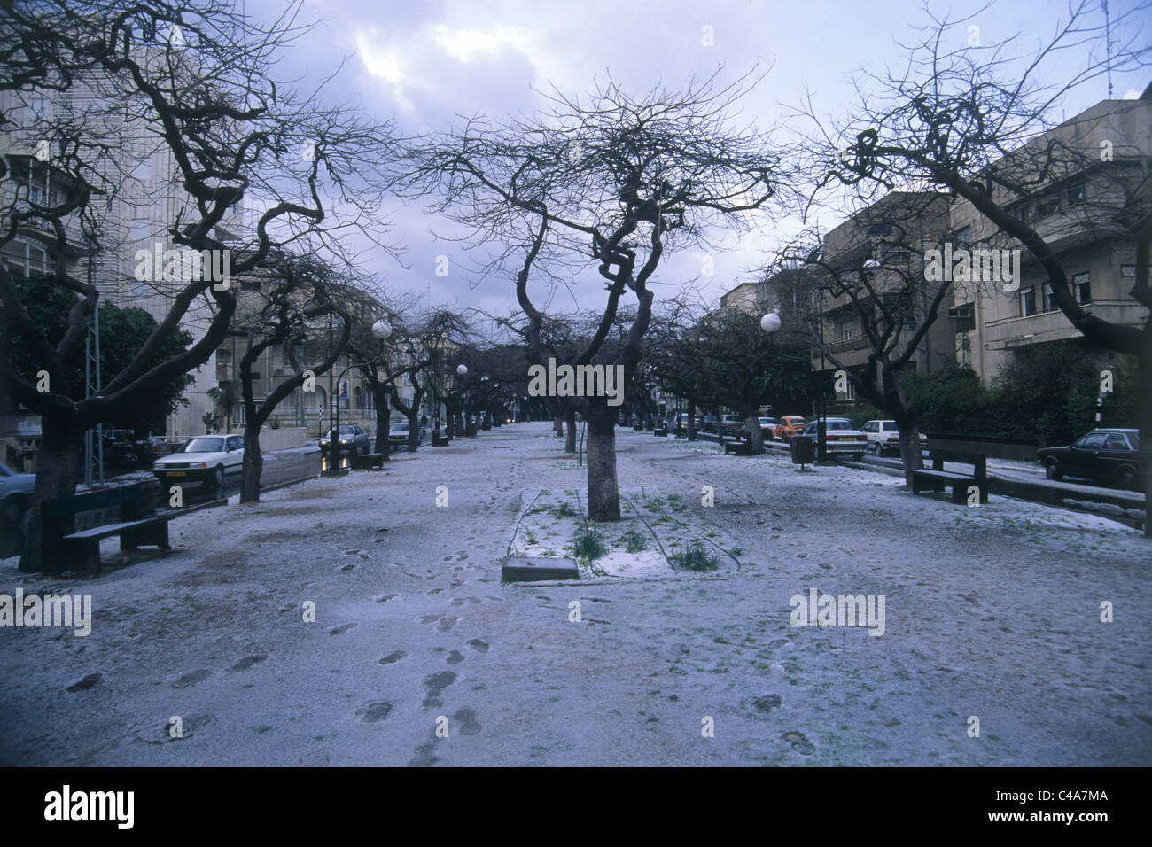 Photograph of the Rothschild Boulevard after a hail storm Stock Photo