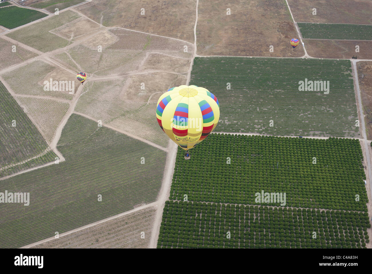 AIR-TO-AIR VIEW. Hot air balloon above vineyards and orange orchards. Temecula, Riverside County, California, USA. Stock Photo