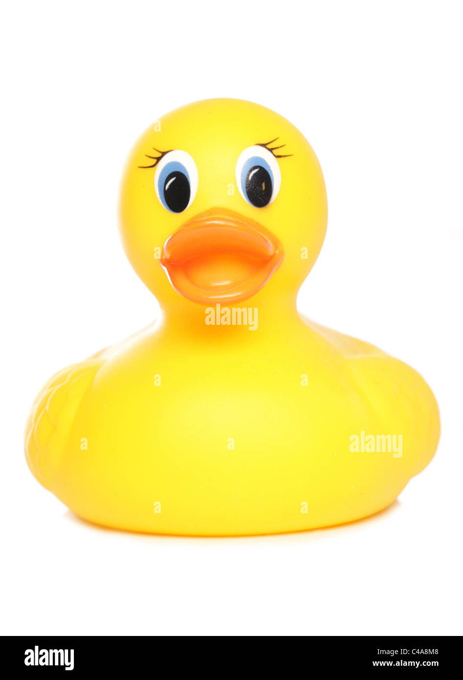 yellow rubber duck studio cutout Stock Photo Alamy