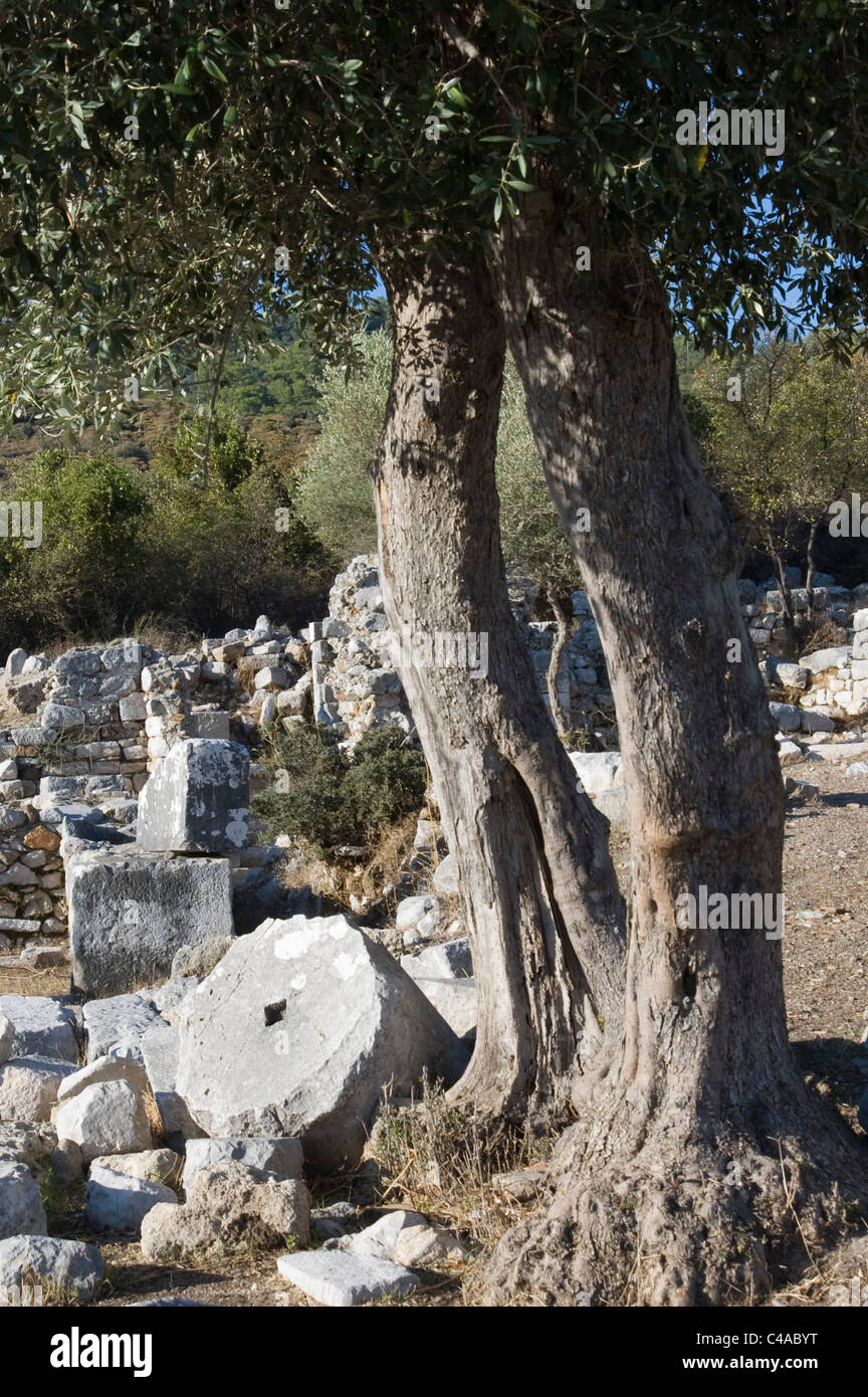 Photograph of the ruins of an ancient city in Turkey Stock Photo