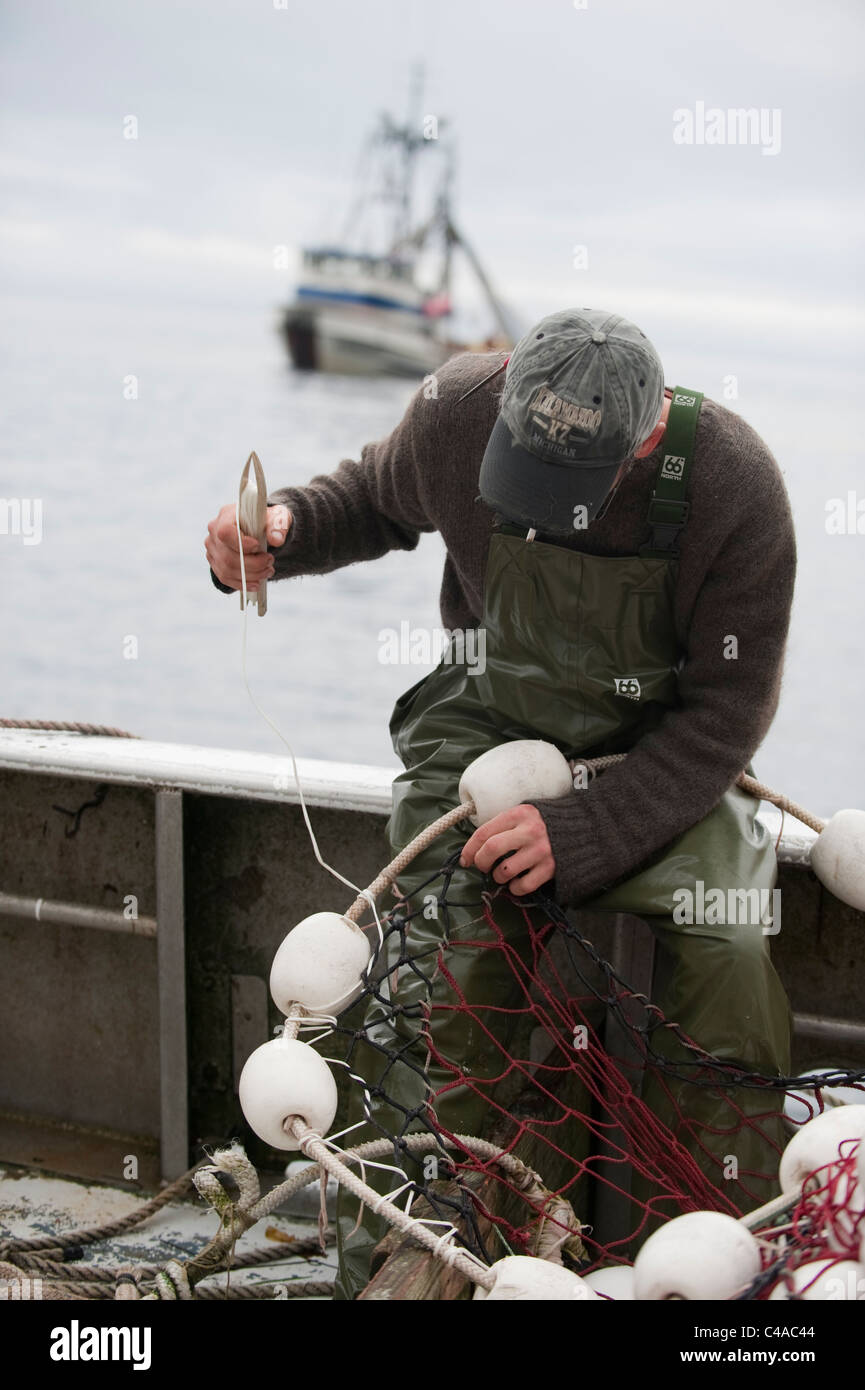 Prince William Sound, Alaska. A salmon fisherman sewing a net used for catching Pink salmon. Stock Photo