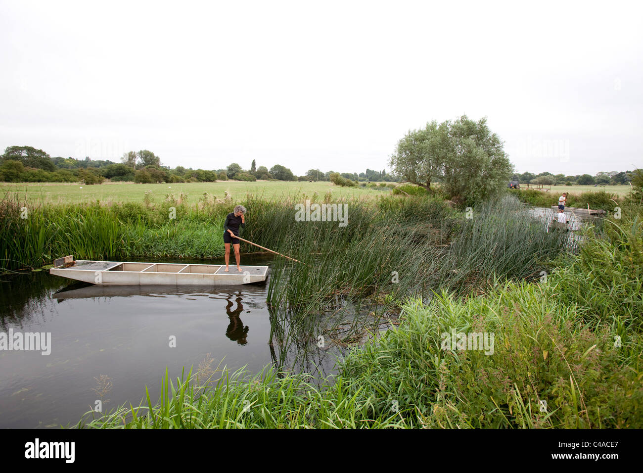 Cut Rushes Cut pile weave hi-res stock photography and images - Alamy