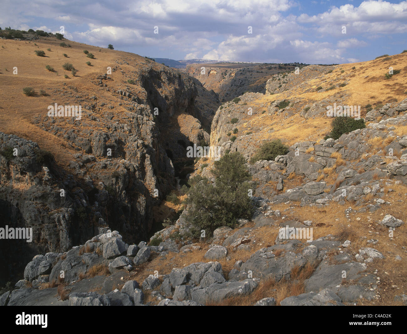 Aerial photograph of the Amud stream in the Lower Galilee Stock Photo