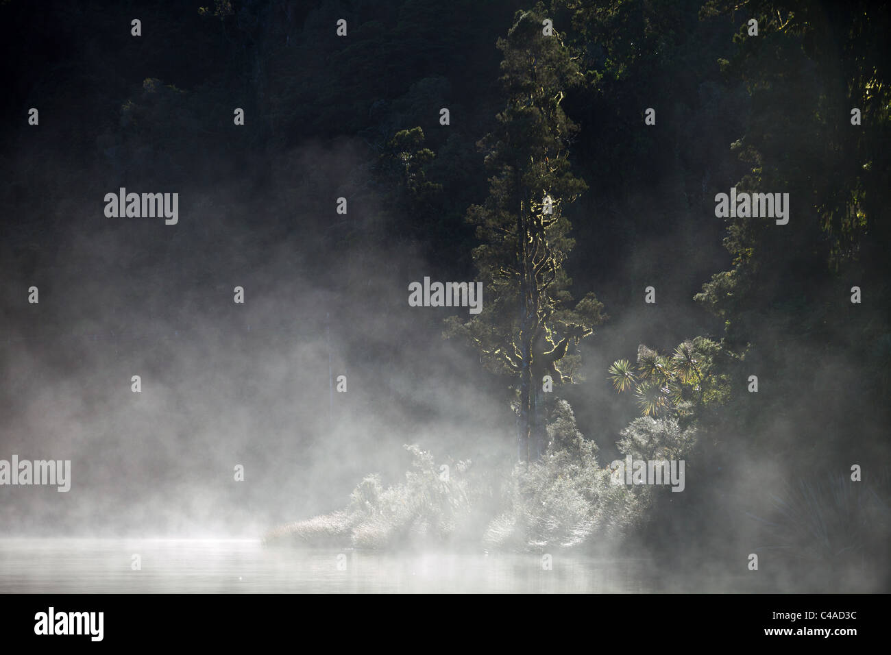 MOrning mist on lake Mapourika, Mt cook national park, New Zealand Stock Photo