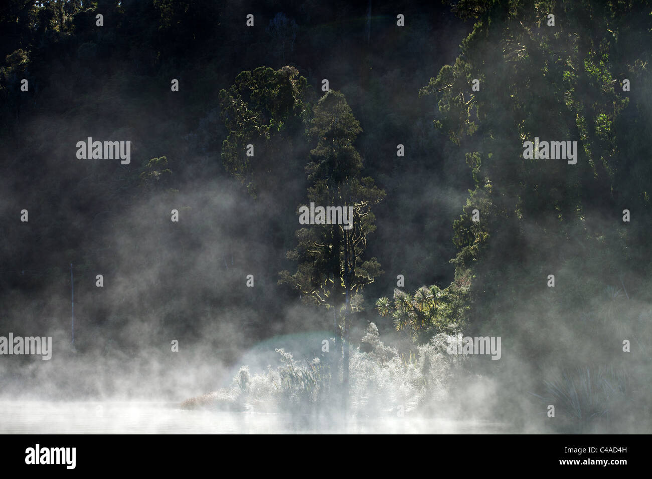 MOrning mist on lake Mapourika, Mt cook national park, New Zealand Stock Photo