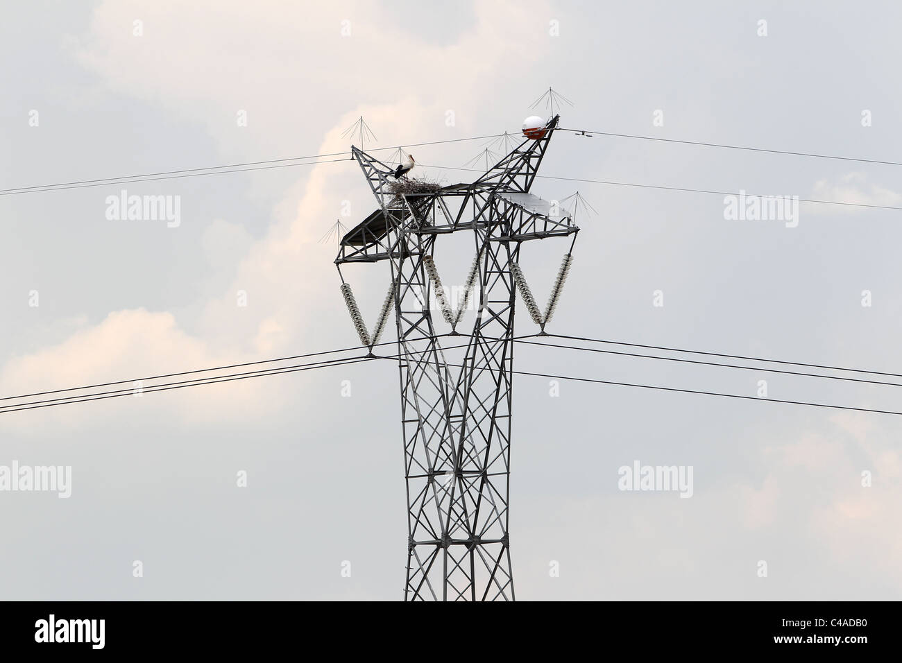 [White Stork] [Ciconia ciconia] nesting at top of [electricity pylon] in Extremadura, Spain Stock Photo
