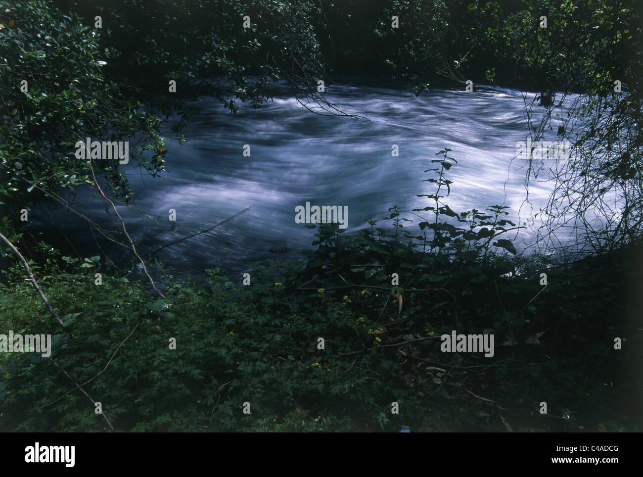 Photograph of the Dan stream in the Upper Galilee Stock Photo