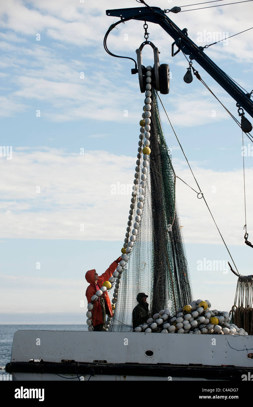 Purse Seining commercial fishing boat letting out the net in Pudget Sound,  Washington Stock Photo - Alamy