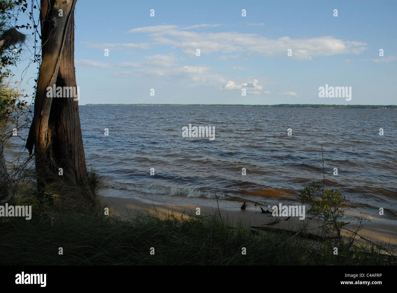 The Beach along the Pamlico River in Goose Creek State Park. Stock Photo