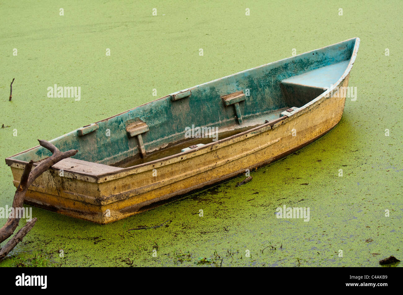 floating on algae old rustic rowing boat on lake in india Stock Photo
