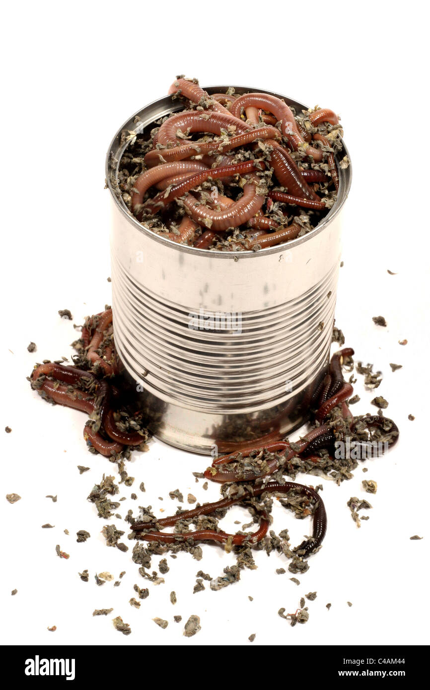 Can of worms hires stock photography and images Alamy