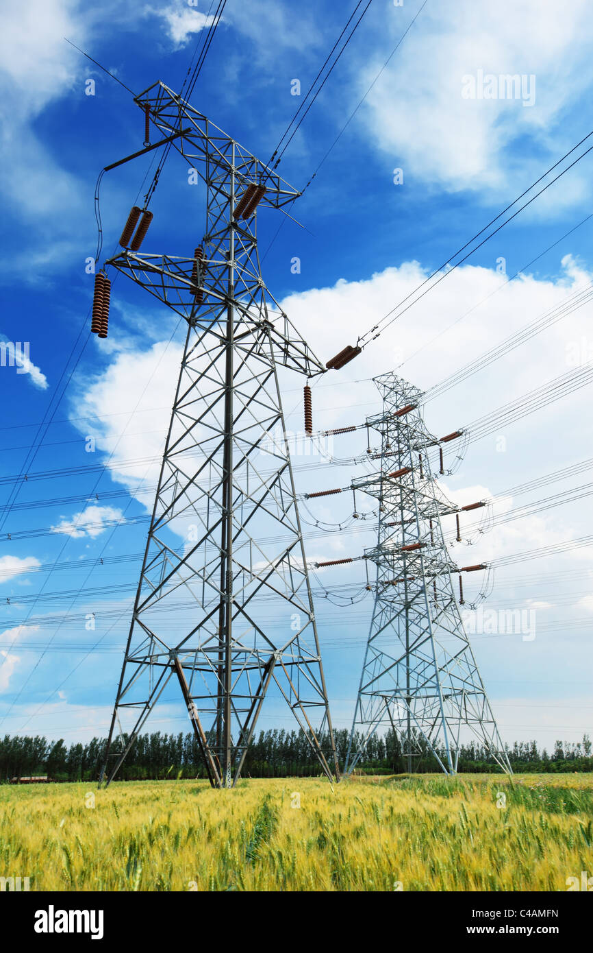 High voltage power lines above wheat field Stock Photo