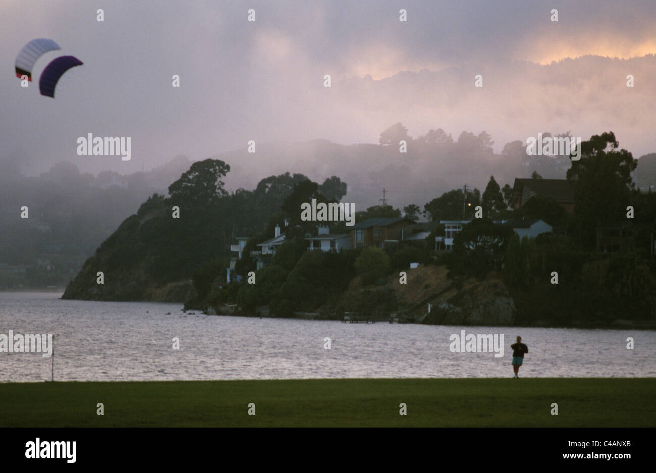 Tiburon California Man flys kite on Richardson Bay at blackies pasture as fog rolls in in evening.  © Bob Kreisel Stock Photo