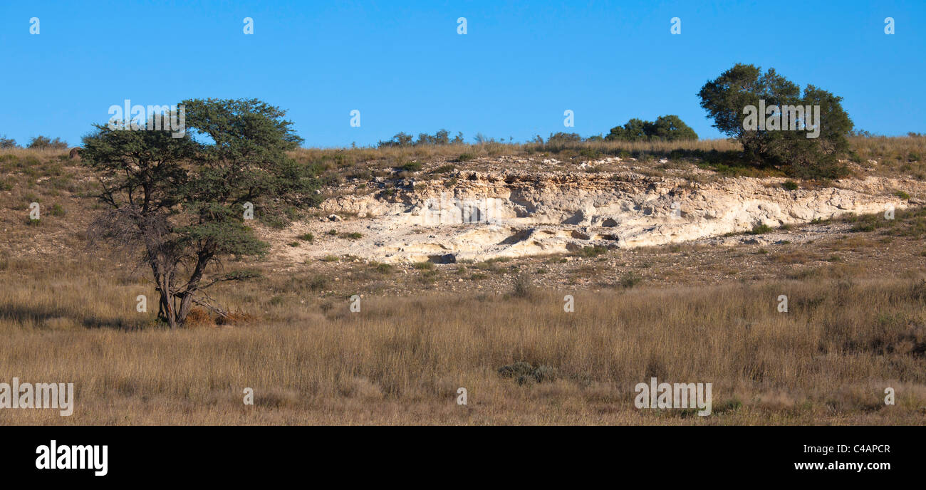 natural mineral lick for animals Stock Photo Alamy