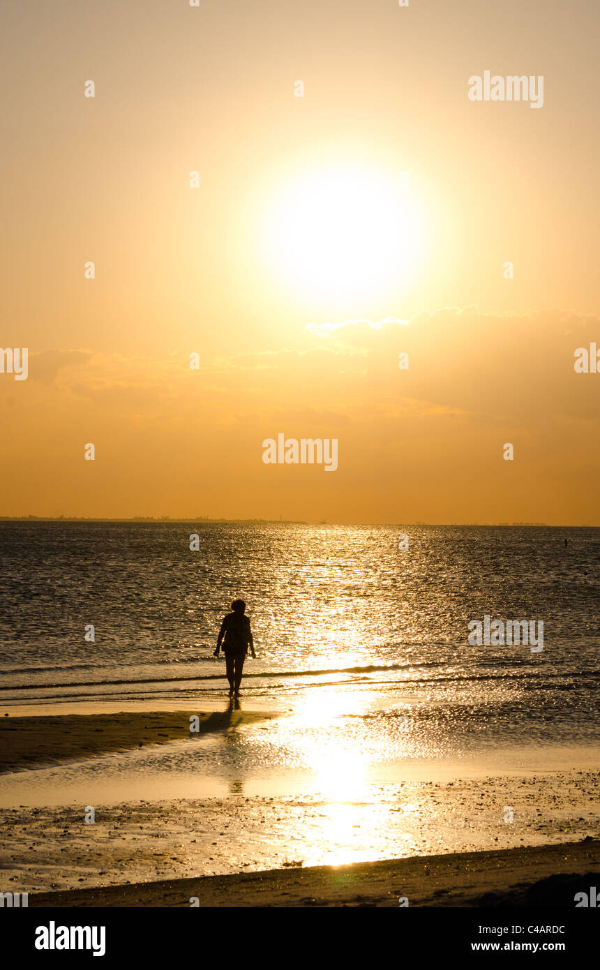 Silhouette of a Walking Along the Beach Stock Photo - Alamy