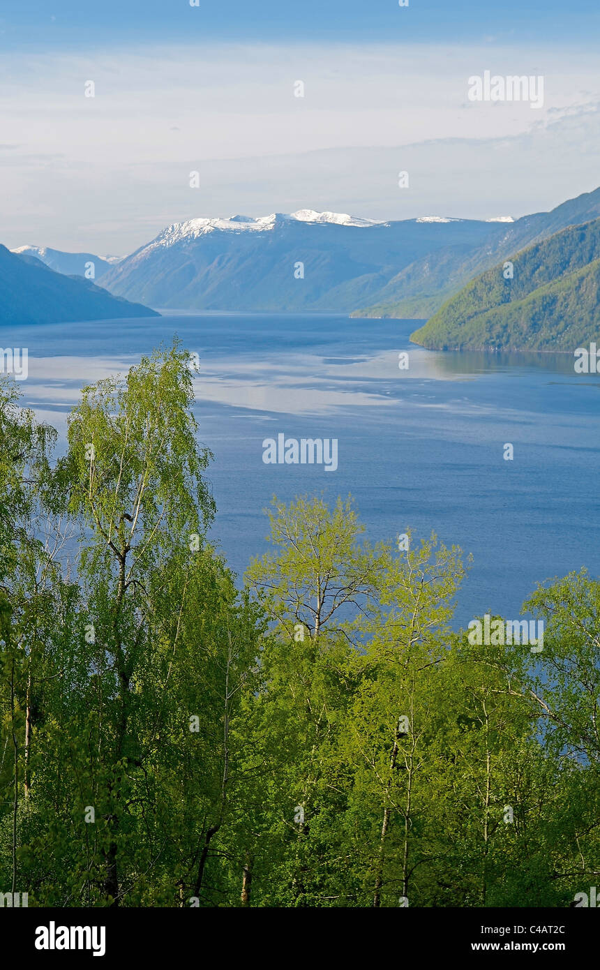 Teletskoe lake from above. The Altyn Too ridge. Altai, Siberia, Russia ...