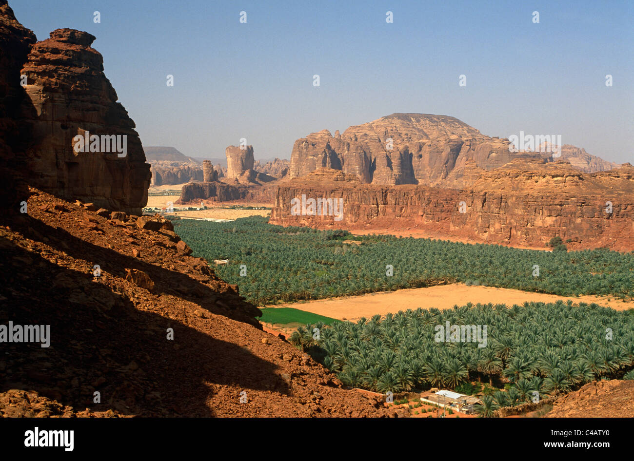 Saudi Arabia, Madinah, Al-Ula. Date plantations lie amidst picturesque scenery in the oasis surrounding Al-Ula. Stock Photo