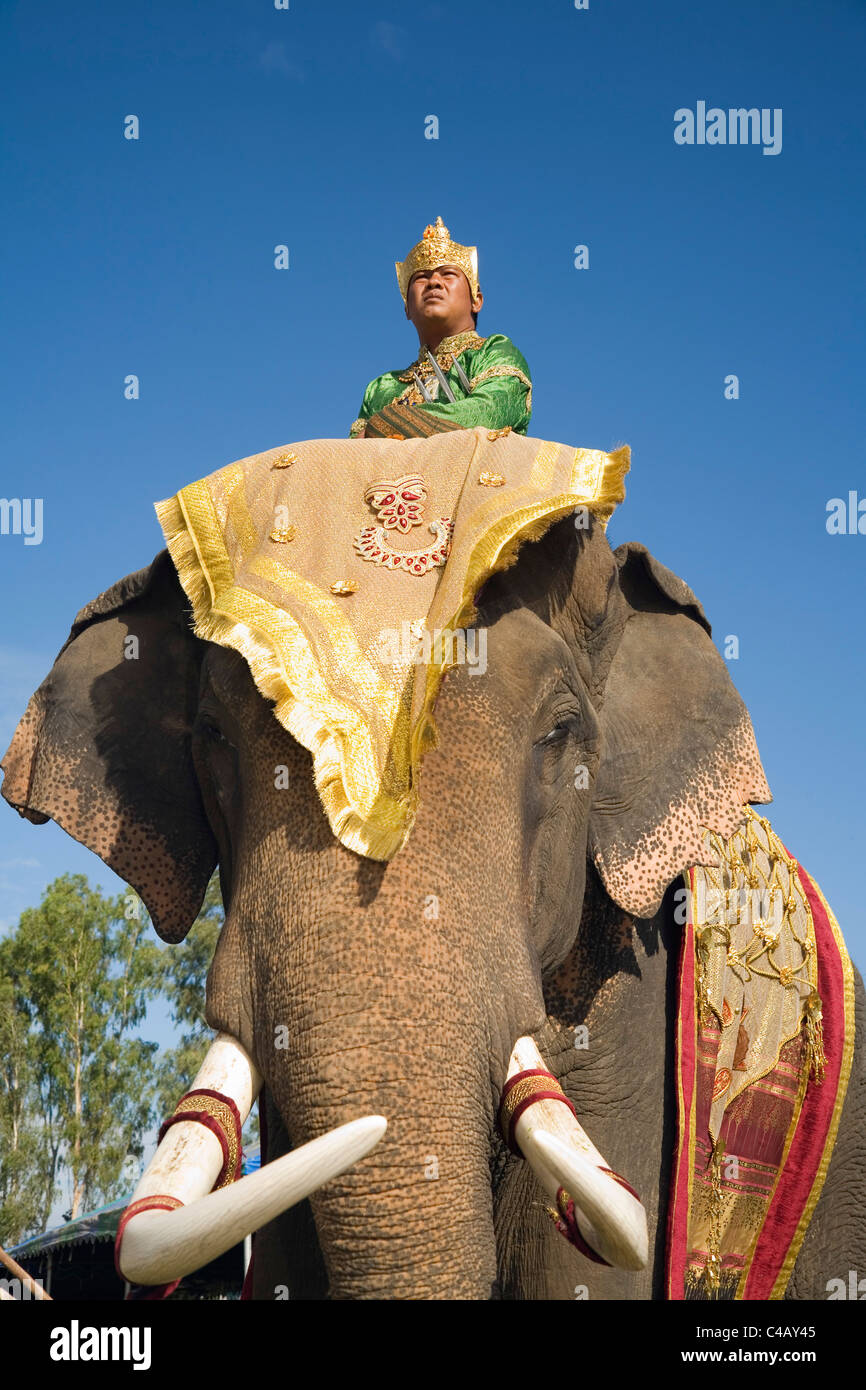 Surin Elephant Roundup festival ...
