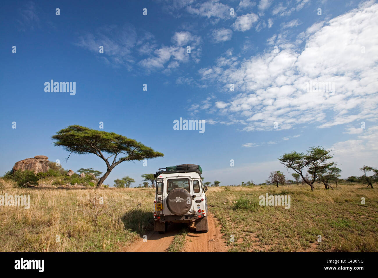 Tanzania, Serengeti. A Land Rover drives through some typical Serengeti landscape around the Maasai Kopjes. Stock Photo