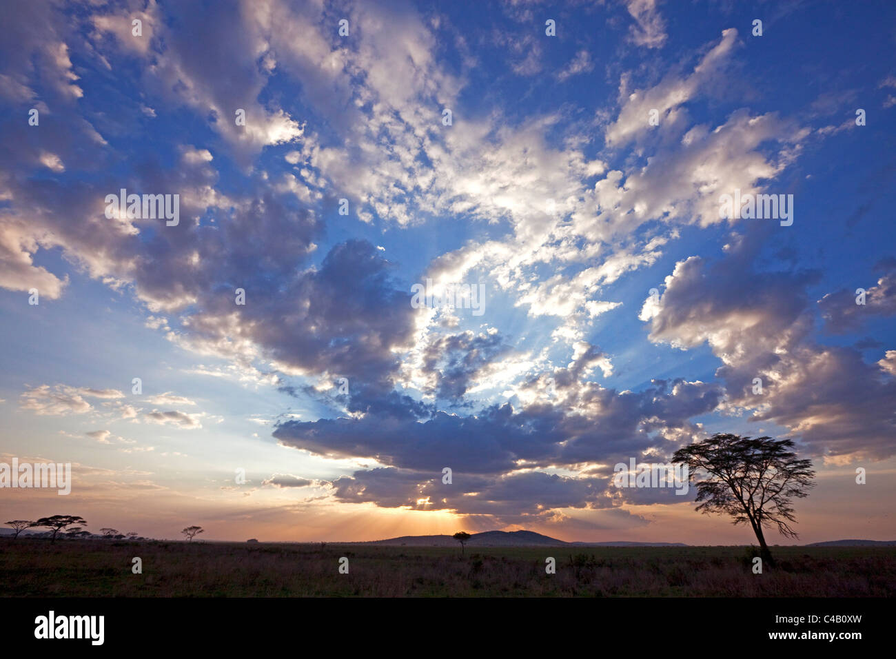 Tanzania, Serengeti. A stunning sunset over the Serengeti plains, near Seronera. Stock Photo