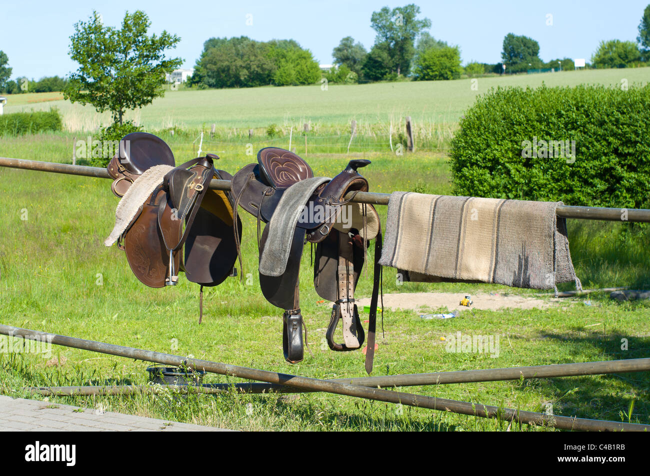 Horse harness hangs on a fence Stock Photo Alamy
