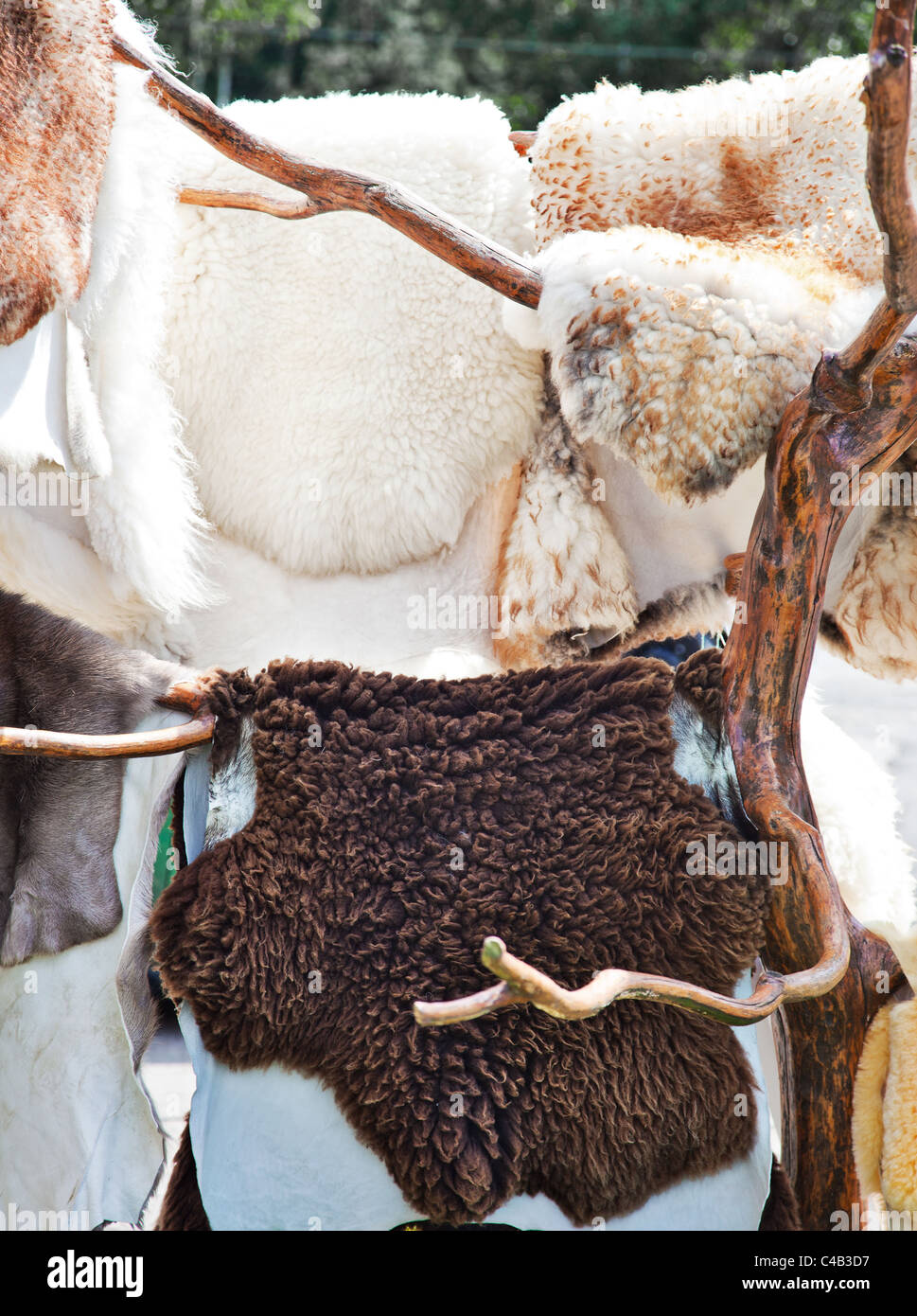 Fur sale outdoors. Front view Stock Photo Alamy